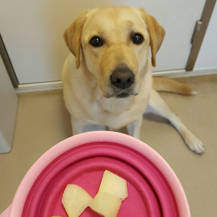 9c82f932 2006 4264 ab1d 00f900862f7f