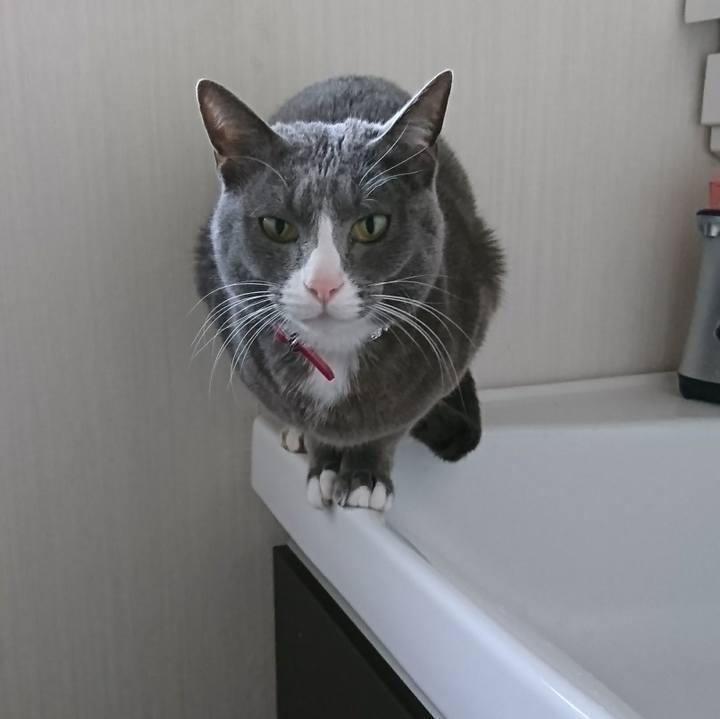 9c832ec1 51a7 4061 a155 053f57830ff9