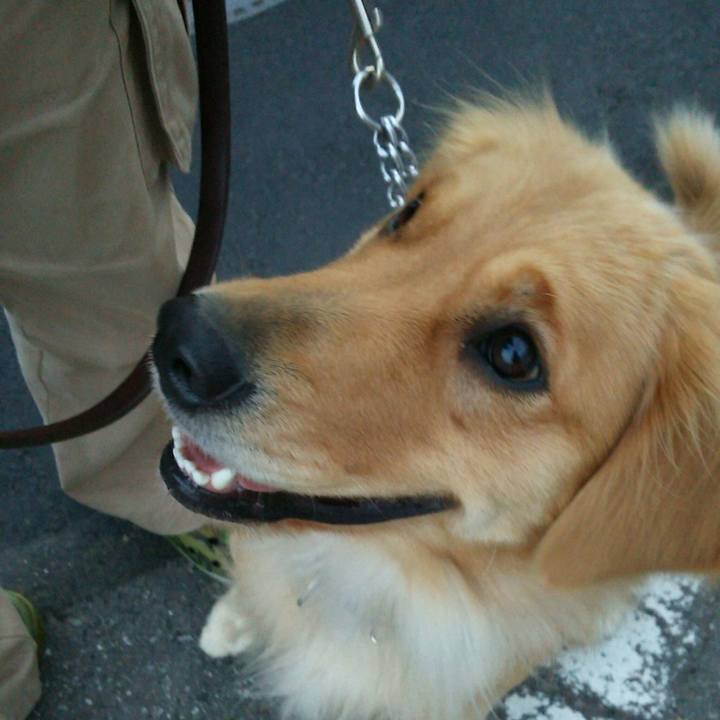 9c842f22 4d1b 4970 84eb 98b89d2cc445