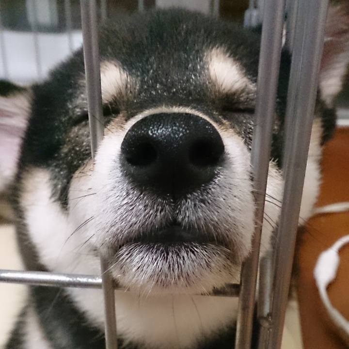 9c851206 ef99 4e2d 9b57 745d070518c8