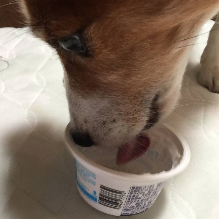 9c85308e 8462 488a be68 2a99816a2b05