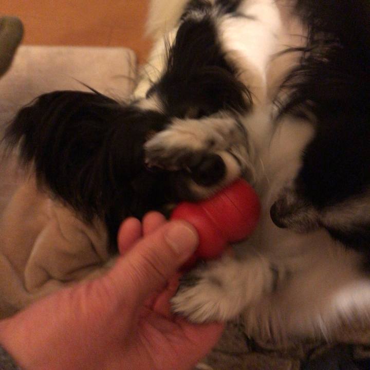 9c854c36 83a1 4c66 a61b 69555c076c9f