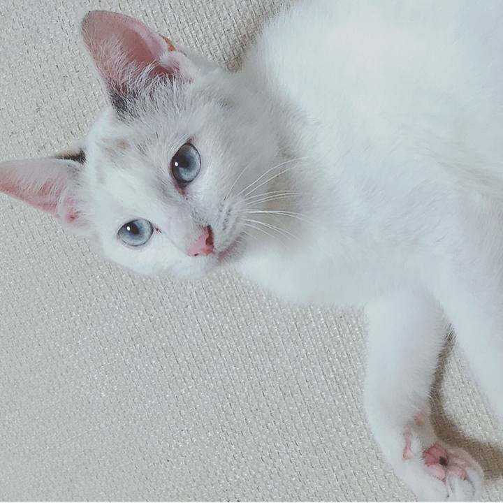 9c864237 d88f 403c a134 1aa46626b5b8