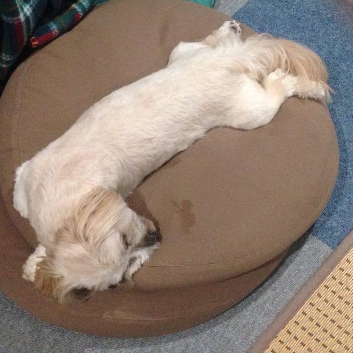 9c86ecdc 671c 45d8 837a c692f6fe6078