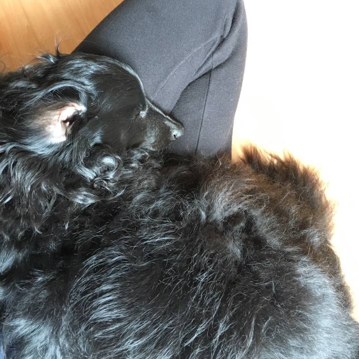 9c87116d 14a6 4526 acfa a4ca9e7598b0