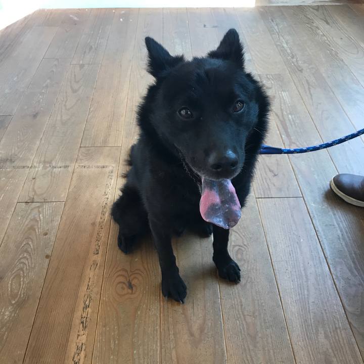 9c8721a5 d3b9 4389 806f 878a1e5d1b90