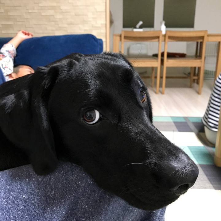 9c877976 664c 4941 af56 b561d4f1717a