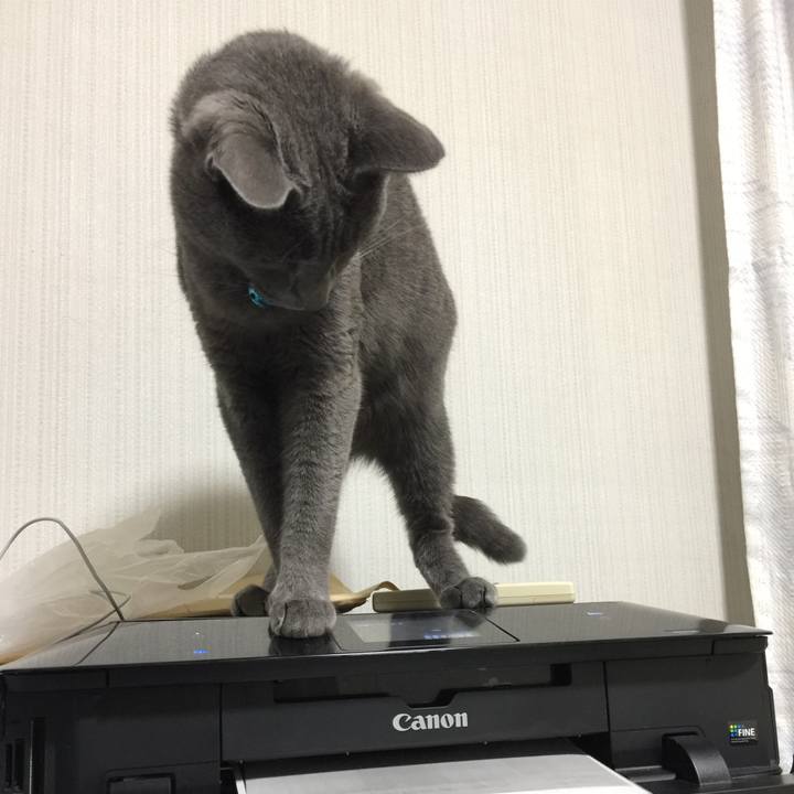 9c87bb33 9b4e 4a05 9ad7 a6bbbd62b335