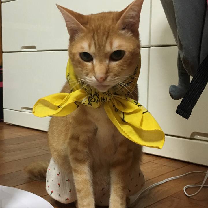 9c87e2b9 0da9 42eb bc59 f80d97d8f6de