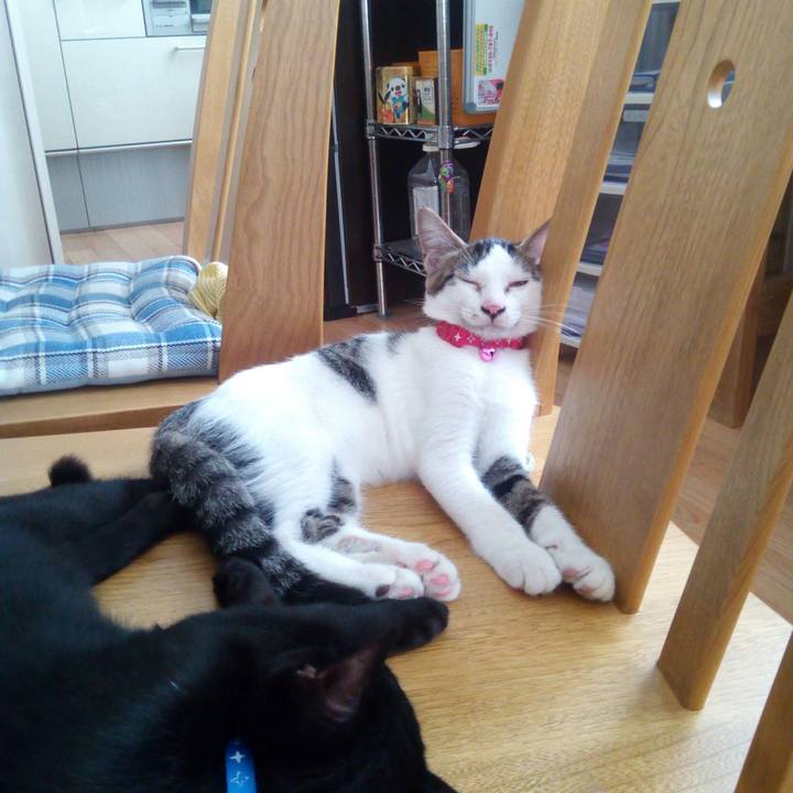 9c88acb9 9f3b 4e54 a4af 1e75ddaaee93