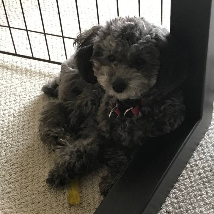 9c893dd7 9756 4085 a497 47964f7bdd24