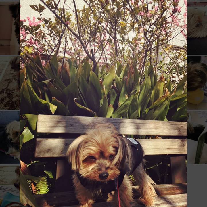 9c8a3ce2 31c8 4a7c 9837 14fed62c8c46