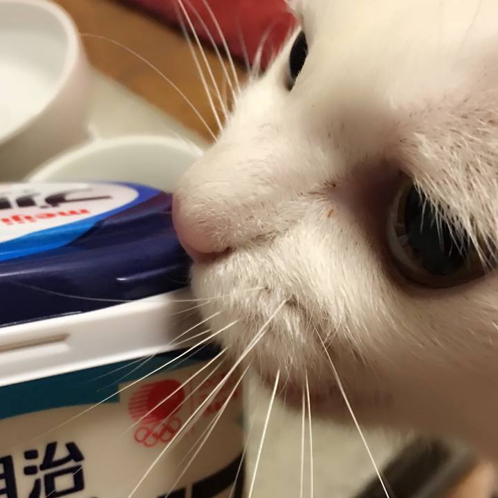 9c8a59c4 c2d0 4d41 8c57 430bf1e623c6