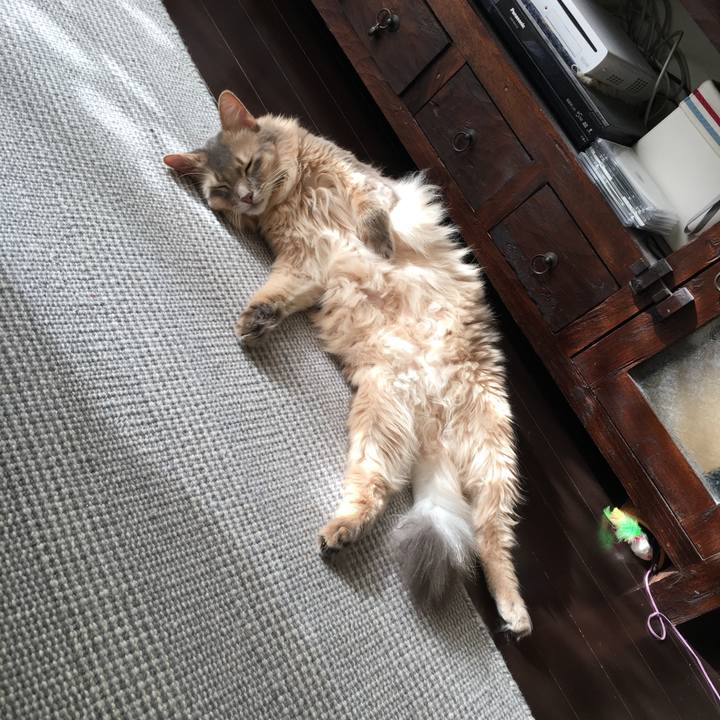 9c8a7f30 f7d8 404e a712 78c34ad9132b