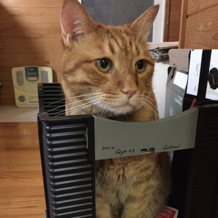 9c8aaffb 0f31 4b2a b40d b2c05ecb92fc