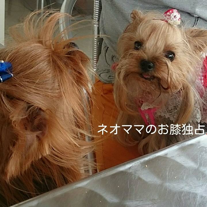 9c8ab262 c39f 4c3c 9a18 d557e3d02611