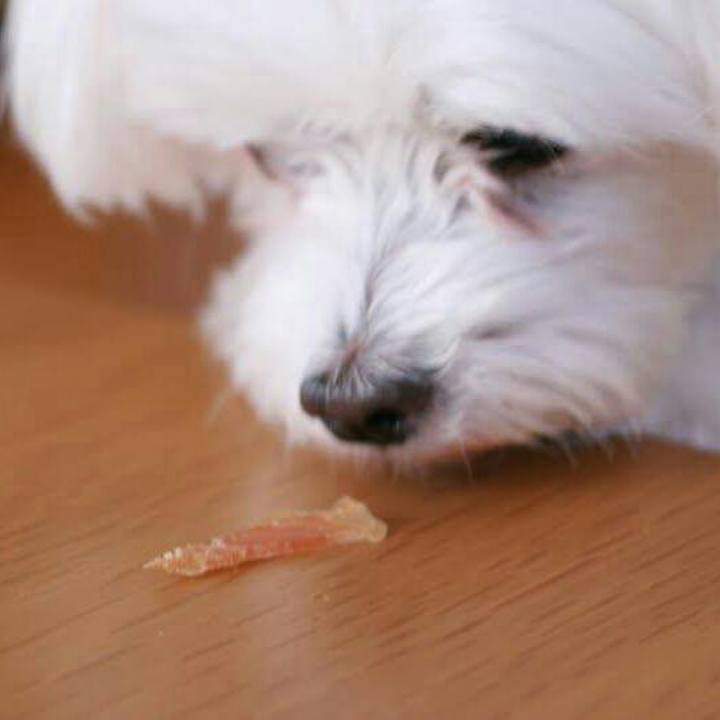 9c8b1667 61b8 4242 91d3 be9c82011d3c