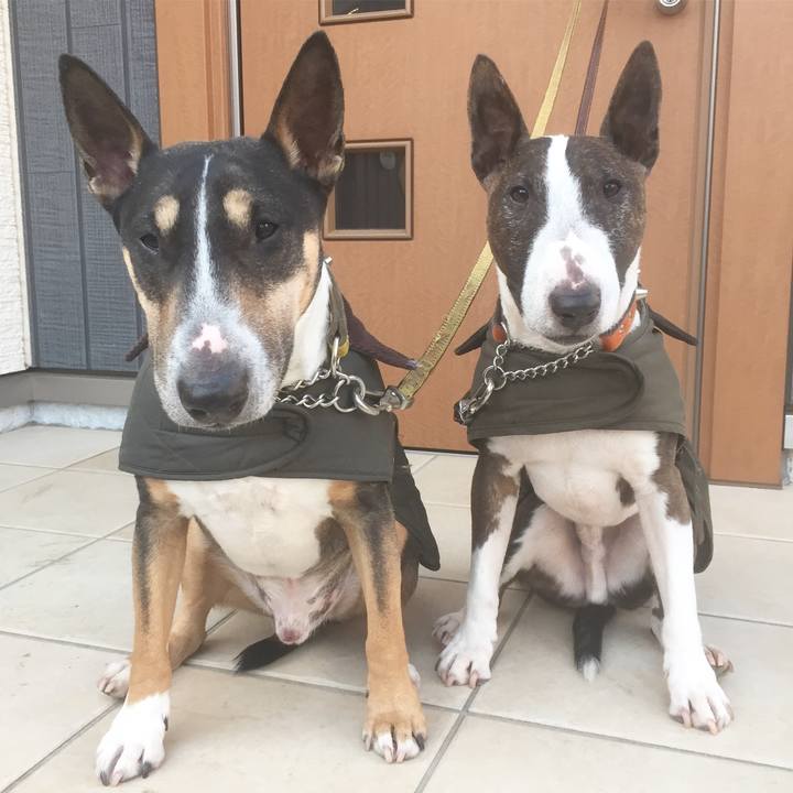 9c8b1c91 556c 4e09 ab6d b585a9a6947f