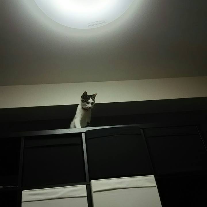 9c8ba815 65f4 42aa 93d7 5941d99b8c2d