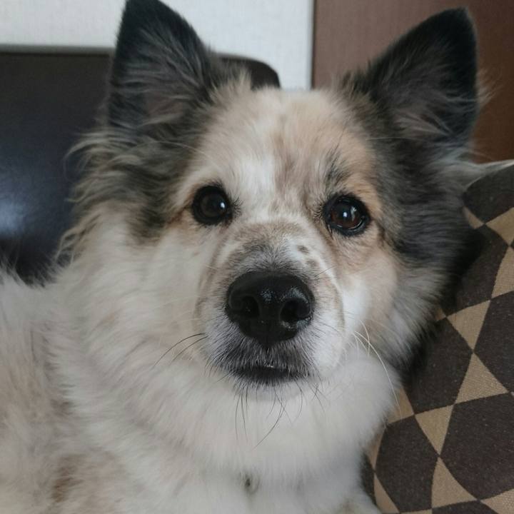 9c8bb323 72f4 44d4 b94f a6f1335ba66e