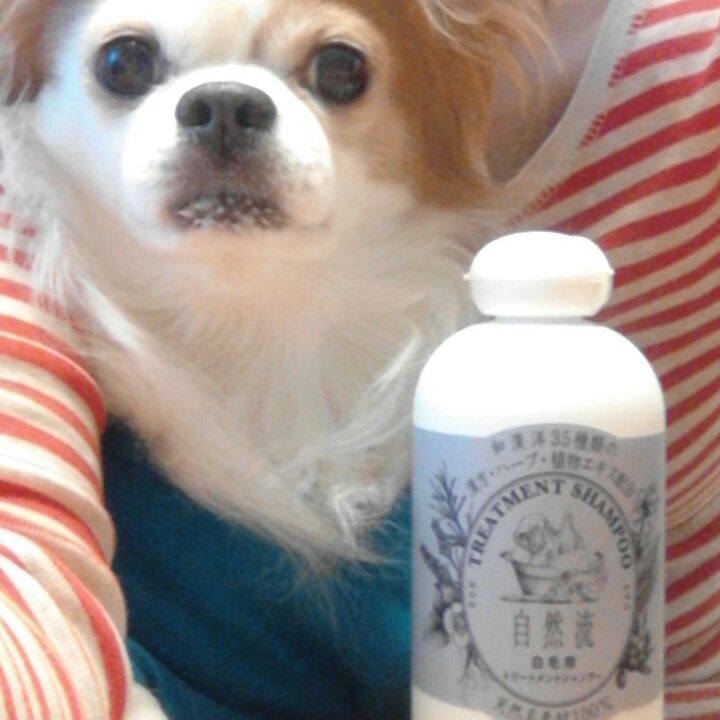 9c8bb841 4459 4bed 9abf 1c8a8b3442be