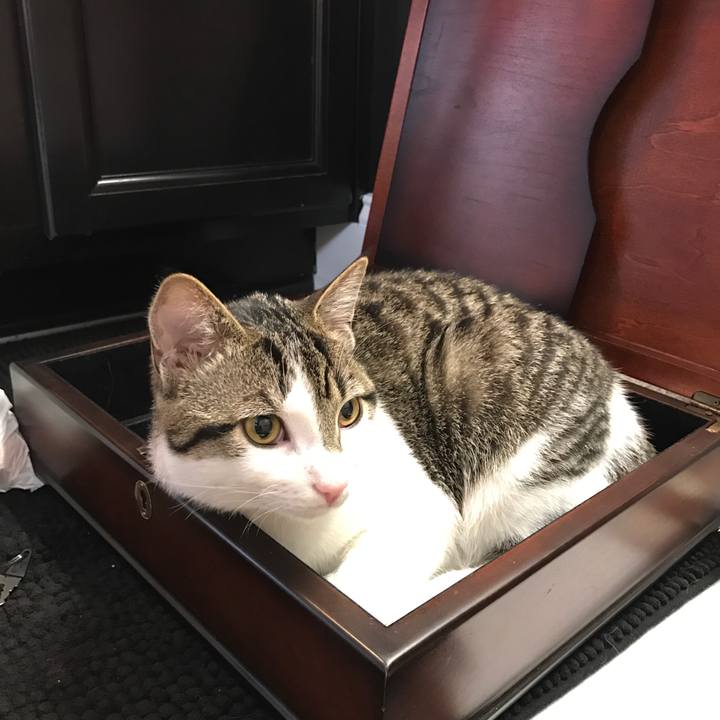 9c8bbd45 e1f7 4850 a389 88513964e171