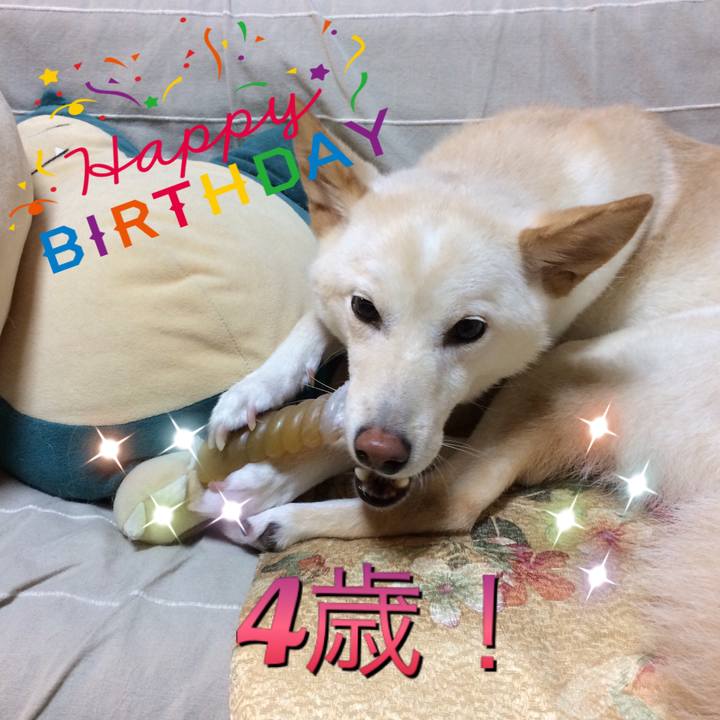 9c8bf825 5933 4f06 8828 5c6cecebcdc5