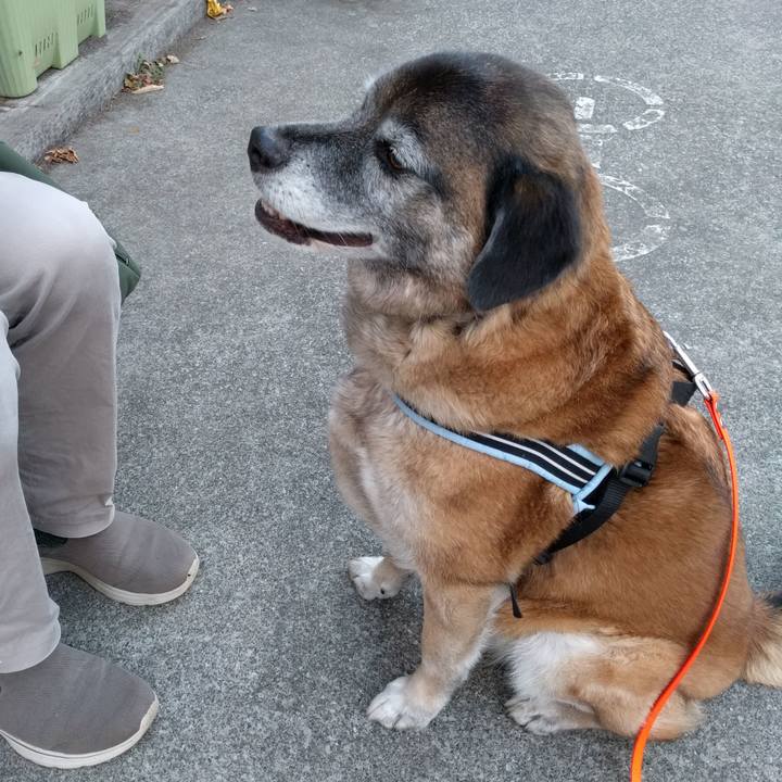 9c8c4034 c9fa 40f7 8711 659dc31ad03f