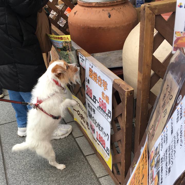 9c8c819c 413d 4d0b b22a 81eb72c60e81