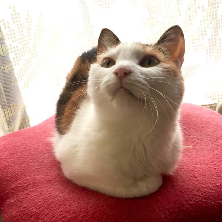 9c8d40a7 e803 4df7 b7a6 50db108daf64