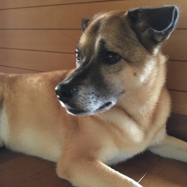 9c8dcf6e 3af5 41b3 a4b6 50b7ebf2c5f3