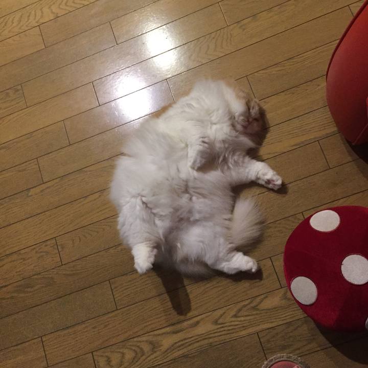 9c8eb248 170a 4f74 ae28 f55712cdce21