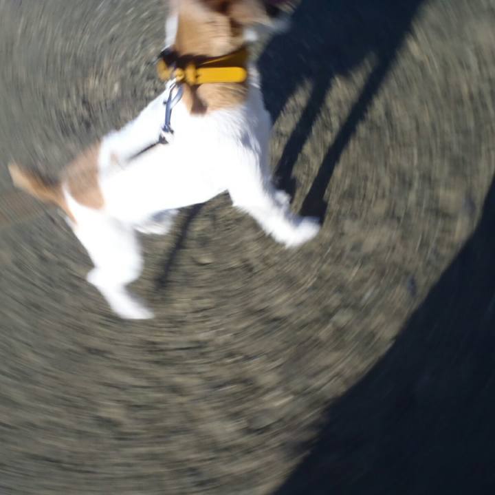 9c8ecfcf 8219 419a b616 47637e3ea565