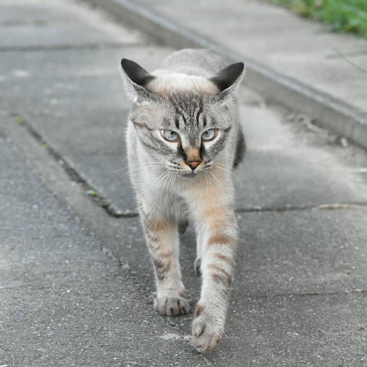 9c8f123a 2874 49cf 8255 05206ef299de