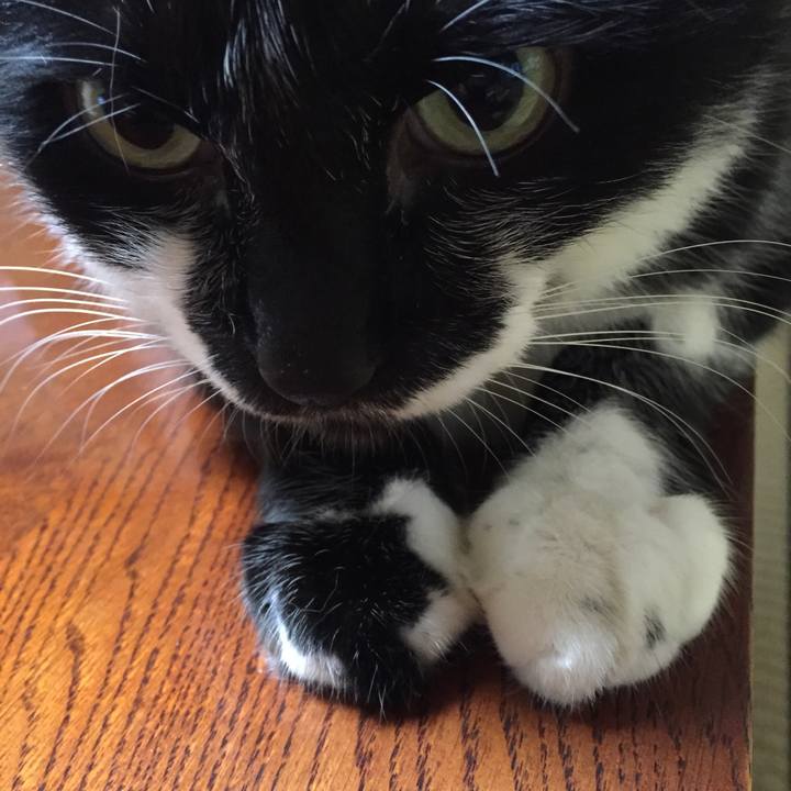 9c8f450f e5ce 47b7 a0a0 c8d9917b490d