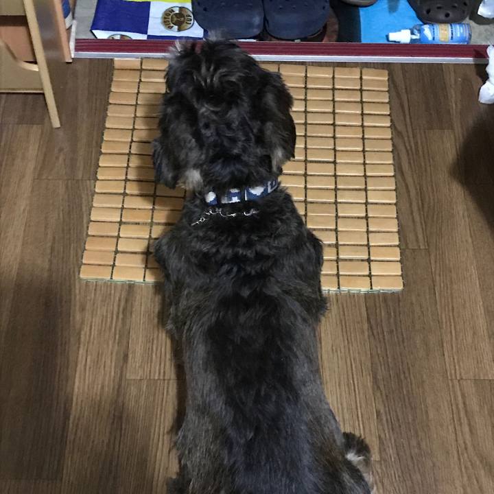 9c8fe631 27a3 4a23 a791 8fc617ca63fb