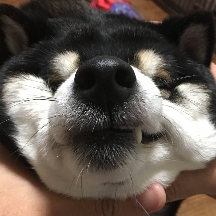 9c9092de 1aa5 45f9 877a 08574a6fa46a