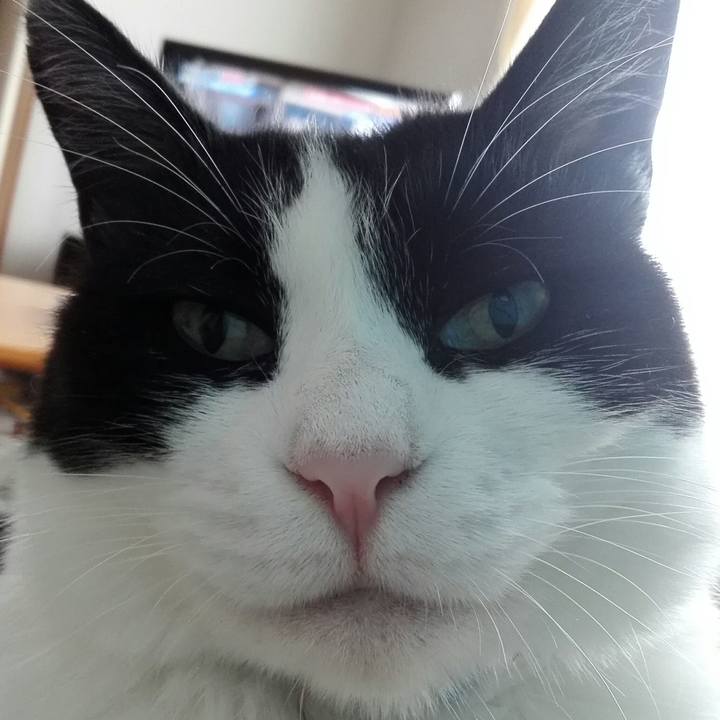 9c90a5f7 97be 4053 ab01 4656b69fe35b