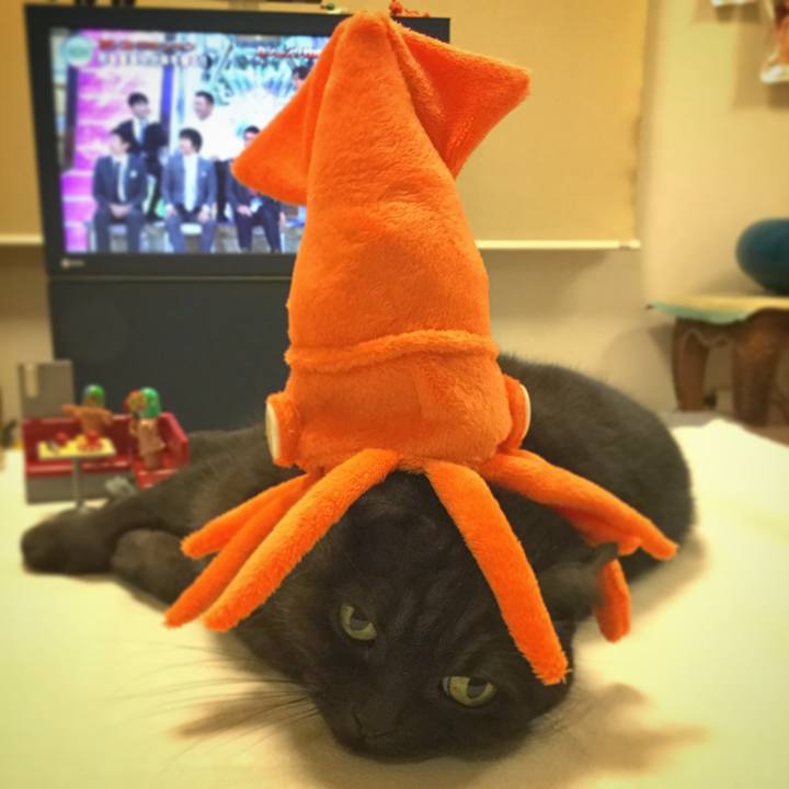 9c90a930 403d 49c9 b4ef df20d276e2c7