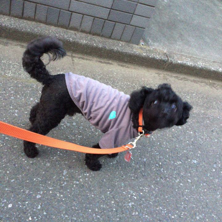 9c90cc21 47d9 4a65 8514 c562b78cdda2