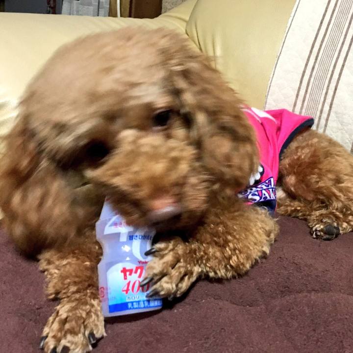 9c90e4aa 970c 481b 90cc 3cc143870762