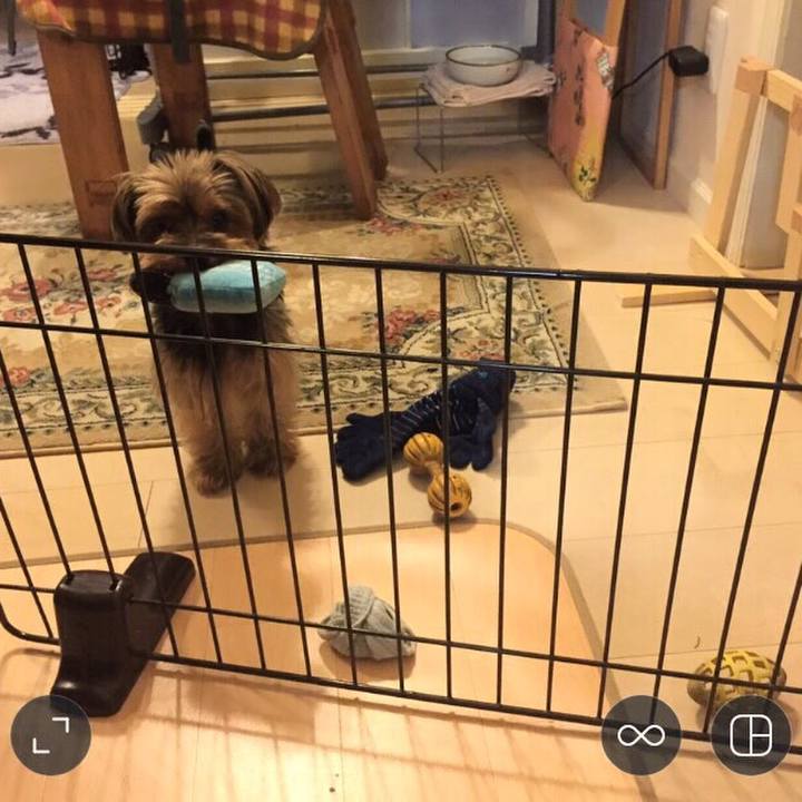 9c91810c 59e4 4138 8889 1bbb29ebeb2b