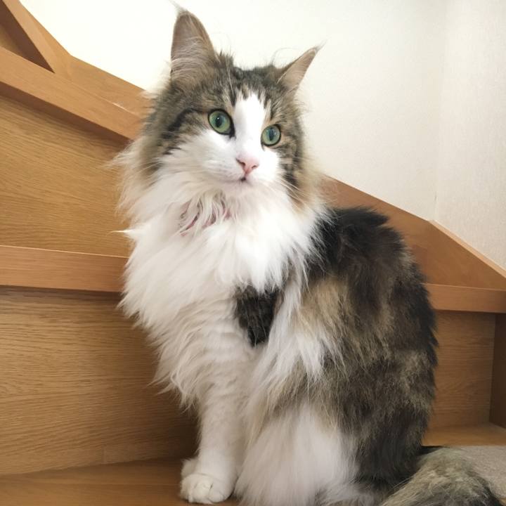 9c91c27f 96fd 4128 8117 7a10b28db2e8