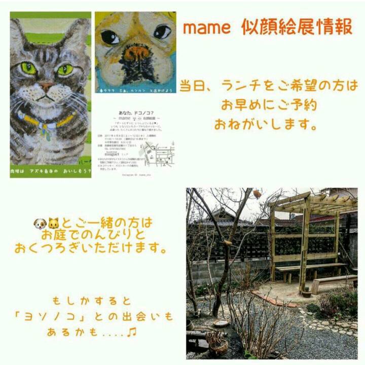 9c91cdbe aecf 4379 a418 0c41e26815a9