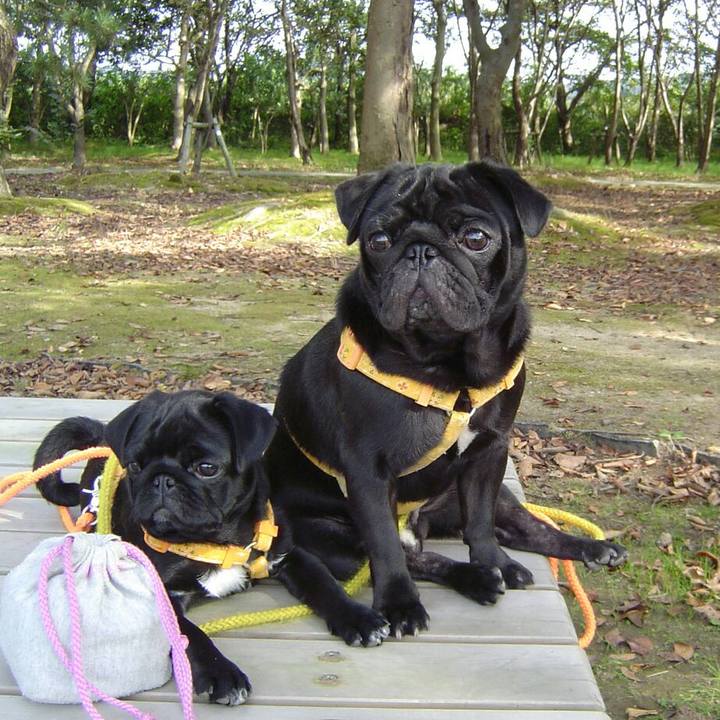 9c922147 6536 4dc8 928a 401d6e783f32