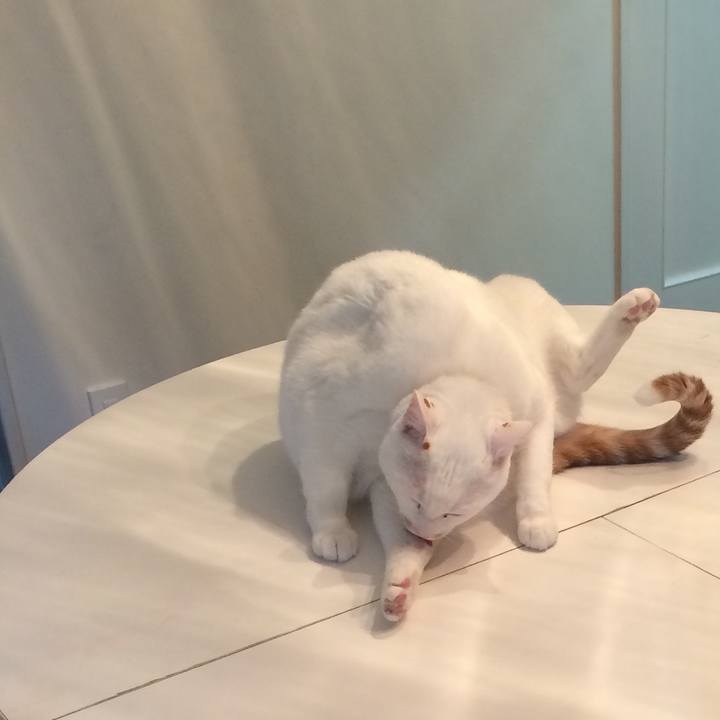 9c930b27 f923 4096 bc91 516486a61925