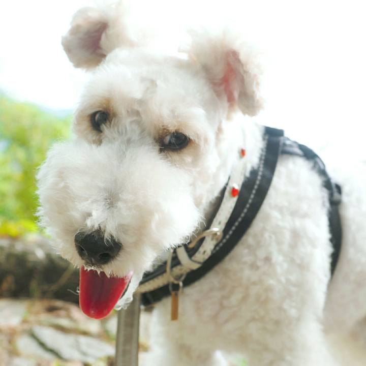 9c9378c5 4d73 40ea bcbd 4687f381d072