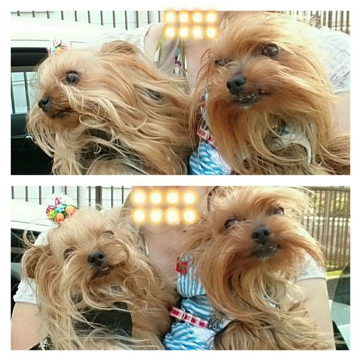 9c93873b 18f8 499a 8d22 11558a90c691