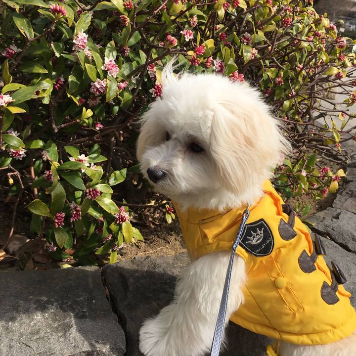 9c93ae45 0b0e 453a 9af0 ff2fdf8fc14b