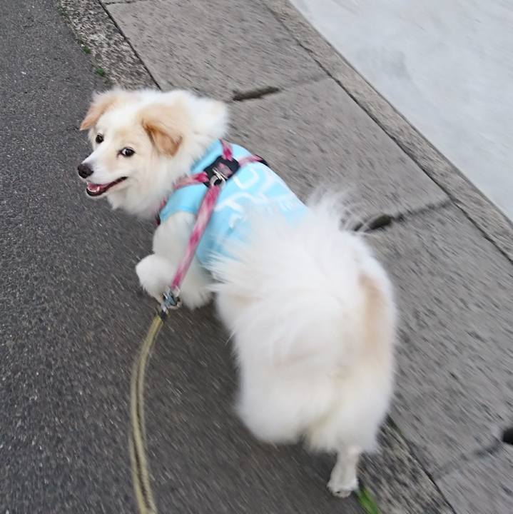 9c93b5e7 6770 41c3 ba86 836e3eccd45f